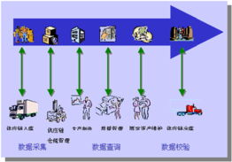 北京节点通网络技术 专业网络技术服务赋能数字化转型